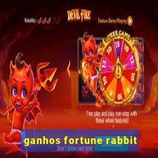 ganhos fortune rabbit